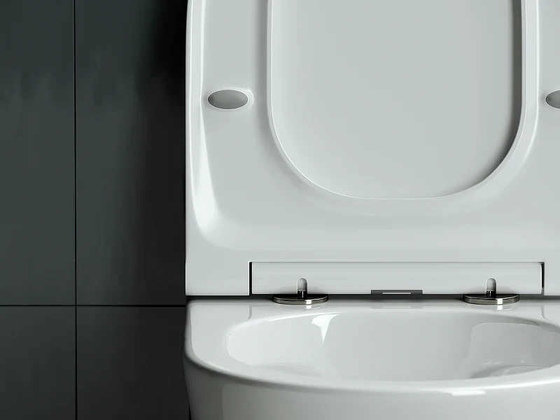 Унитаз Ceramicanova Forma CN3011 подвесной с сиденьем Микролифт фарфор подвесной