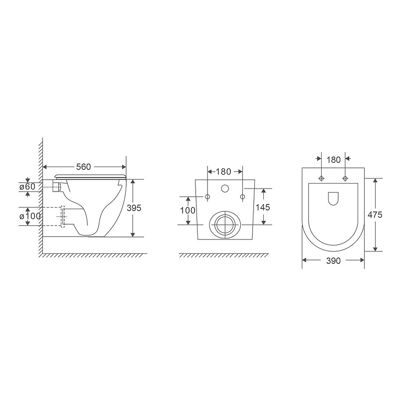 Унитаз Terminus Енисей Monolit 05W56х39W подвесной с сиденьем Микролифт цвет Белый
