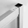 Душевая дверь WasserKRAFT Berkel 100 48P12 профиль Хром стекло прозрачное