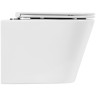 Унитаз BelBagno Flay-R BB053CHR/BB870SC подвесной с сиденьем Микролифт фаянс подвесной