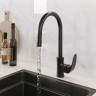 Смеситель для кухни Laparet Lisera Pro N2042429LPT Черный латунь