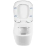 Унитаз BelBagno Albano BB120CHR подвесной без сиденья фаянс подвесной