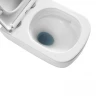 Унитаз Black&White W-610 610W00 подвесной с сиденьем Микролифт