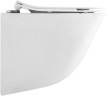 Унитаз подвесной Aquanet BioVortex 3.0 W Tornado 384176 цвет Белый с сиденьем Микролифт