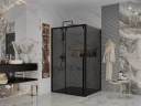 Душевая стенка Ambassador Intense 110 110IBB профиль Черный cтекло тонированное
