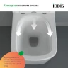 Унитаз с инсталляцией Iddis Basic BASBI02i73 с сиденьем Микролифт и Черной матовой клавишей смыва