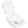 Унитаз BelBagno Sela BB3201CHR/BB3201SC подвесной Белый с сиденьем Микролифт фаянс подвесной