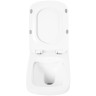 Унитаз BelBagno Sela BB3201CHR/BB3201SC подвесной Белый с сиденьем Микролифт фаянс подвесной
