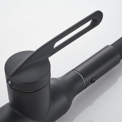 Смеситель для кухни Raffine F303H-3 цвет Черный