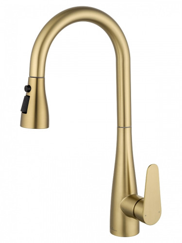 Смеситель для кухни Wonzon &amp; Woghand WW-121E201B-BG цвет Брашированное золото