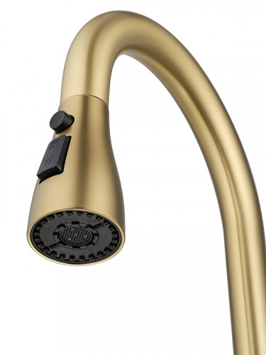 Смеситель для кухни Wonzon &amp; Woghand WW-121E201B-BG цвет Брашированное золото