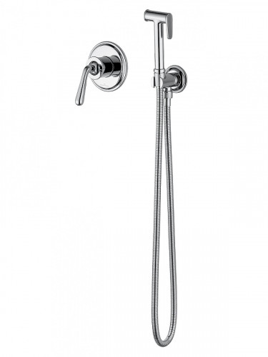 Гигиенический душ со смесителем Wonzon &amp; Woghand Steam WW-88849008-CR цвет Хром