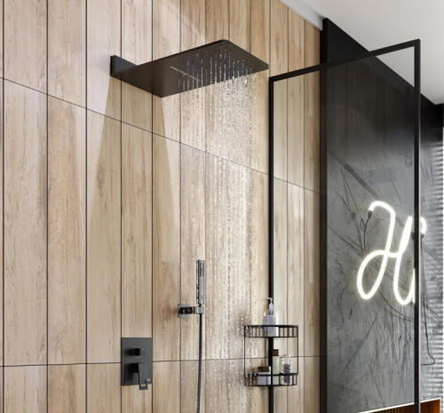 Душевая система Timo Briana SX-7139/03SM Черный латунь встраиваемый