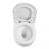 Унитаз Black&White W-650 650W00 подвесной с сиденьем Микролифт