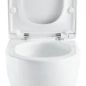 Унитаз Black&White W-650 650W00 подвесной с сиденьем Микролифт