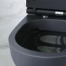 Комплект унитаза с инсталляцией AM.PM Spirit V2.0 FlashClean IS49038.701700MB с сиденьем Микролифт и Черной матовой клавишей смыва фарфор подвесной