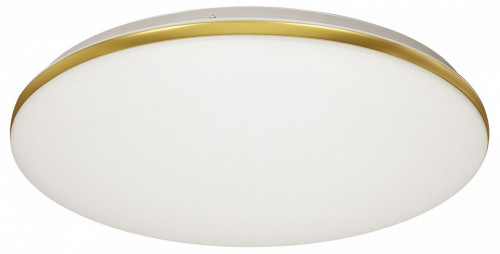 Накладной светильник Sonex Lassa 3043/DL