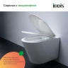 Унитаз с инсталляцией Iddis Basic BASC020i73 с сиденьем Микролифт и Черной матовой клавишей смыва