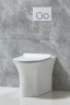Унитаз BelBagno Ancona BB1224CBR-P приставной без сиденья фаянс приставной