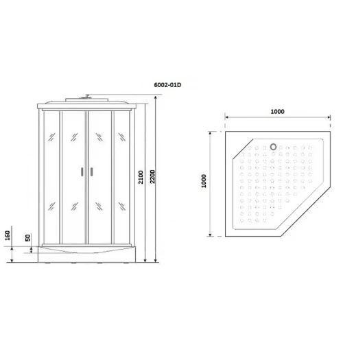 Душевая кабина Niagara Premium 100x100 NG-6002-01D без гидромассажа