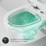Комплект унитаза AM.PM Awe C111738WH+C117852WH с инсталляцией Viega Prevista Dry 792855 с сиденьем Микролифт и клавишей смыва Хром фарфор подвесной