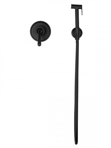 Гигиенический душ со смесителем Wonzon & Woghand Steam WW-88849008-MB цвет Черный матовый