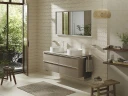 Раковина-чаша Hansgrohe Xuniva S 40 60164450 Белая накладная