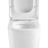 Унитаз компакт Black&White W-6610 6610W с бачком и сиденьем Микролифт