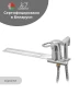 Гигиенический душ со смесителем Wisent W5221 цвет Хром