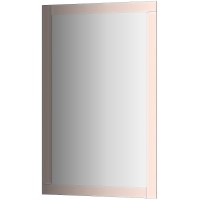 Зеркало Evoform Style 110x70 BY 0823 с зеркальным обрамлением - цвет Бронза стекло