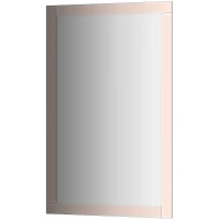 Зеркало Evoform Style 110x70 BY 0823 с зеркальным обрамлением - цвет Бронза стекло