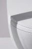 Унитаз подвесной Laufen Cleanet Riva Rimless 8.2069.1 с сиденьем Микролифт