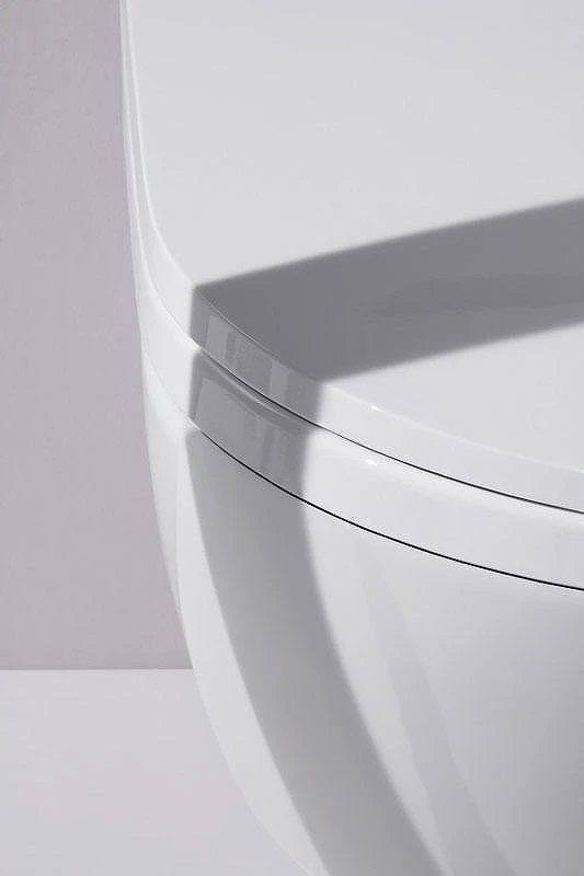 Унитаз подвесной Laufen Cleanet Riva Rimless 8.2069.1 с сиденьем Микролифт