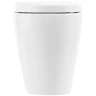 Унитаз BelBagno Marino BB105CBR/BB105SC приставной с сиденьем Микролифт фаянс приставной