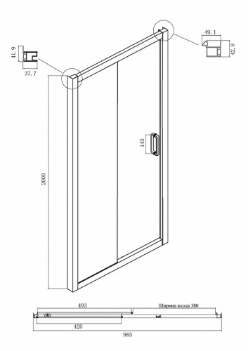 Душевая дверь Ambassador Forsa 100 17022216ABB профиль Черный стекло тонированное