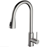 Смеситель для кухни Alveus Primrose PS 1148261 Сатинированная сталь латунь однорычажный
