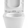 Унитаз компакт Black&White W-6620 6620W с бачком и сиденьем Микролифт