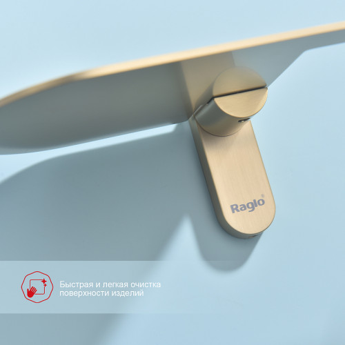 Держатель туалетной бумаги Raglo R300.03.03 с полкой Золото матовое