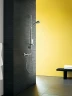 Смеситель для душа Hansgrohe Ecostat Comfort 13116000 с термостатом Хром латунь на стену