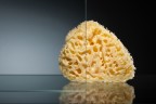 Душевой уголок Radomir 100x90 1-09-1-0-0-1210 профиль Белый стекло прозрачное
