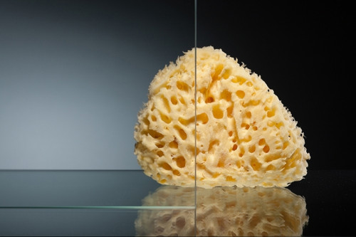 Душевой уголок Radomir 100x90 1-09-1-0-0-1210 профиль Белый стекло прозрачное