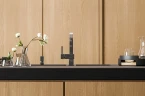 Смеситель для кухни Alveus Laguna Monarch Anthracite new 1134827 Антрацит латунь