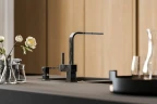 Смеситель для кухни Alveus Laguna Monarch Anthracite new 1134827 Антрацит латунь