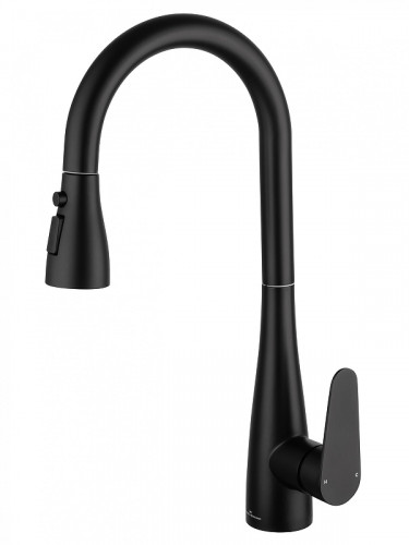 Смеситель для кухни Wonzon &amp; Woghand WW-121E201B-MB цвет Черный матовый