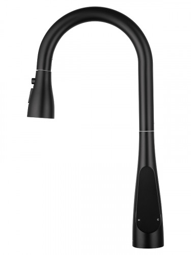 Смеситель для кухни Wonzon &amp; Woghand WW-121E201B-MB цвет Черный матовый