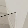 Душевая перегородка Azario Walk-In 100 AZ-251-100-MGR-CL профиль Графит матовый стекло прозрачное