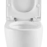 Унитаз компакт Black&White W-6650 6650W с бачком и сиденьем Микролифт