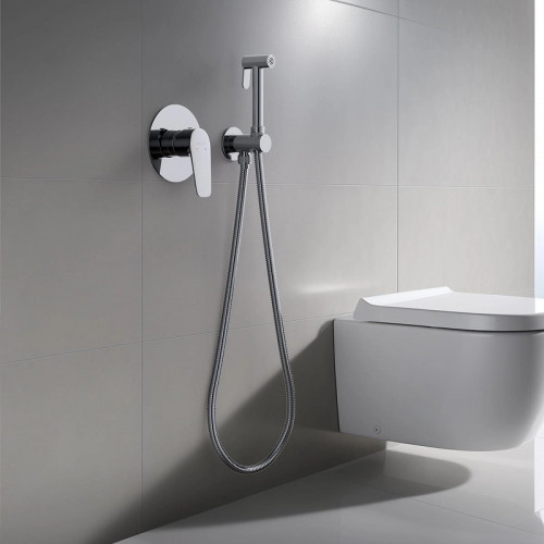 Гигиенический душ со смесителем Aquatek Бетта AQ1119CR Хром латунь встраиваемый