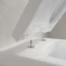 Унитаз Villeroy&Boch Architectura 5684HR01 подвесной с сиденьем Микролифт