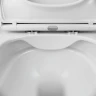 Унитаз AM.PM Spirit V2.0 Square FlashClean C701701SC подвесной с сиденьем микролифт фарфор подвесной